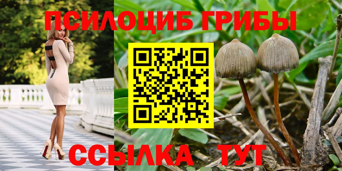 Псилоцибиновые грибы GOLDEN TEACHER Горно-Алтайск
